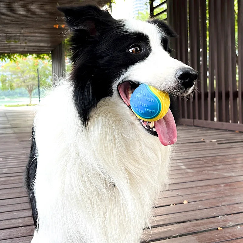 ZiloPets Interactive Squeaky Dog Ball – Durable Chew Toy for Teeth Cleaning & Play