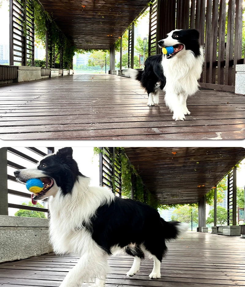 ZiloPets Interactive Squeaky Dog Ball – Durable Chew Toy for Teeth Cleaning & Play