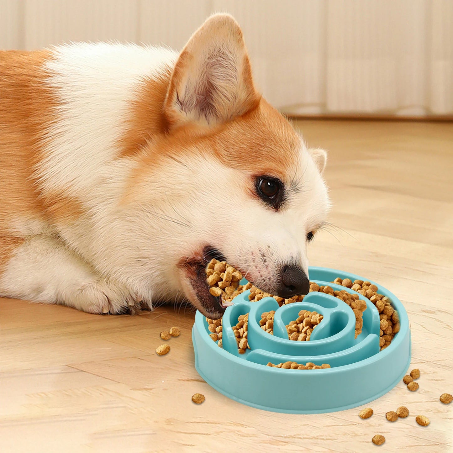 ZILO Slow Feeder Dog Bowl – Anti-Slip Puzzle Feeding Bowl for Healthy Slow Eating, Fun Interactive Pet Bowl for Small & Medium Dogs