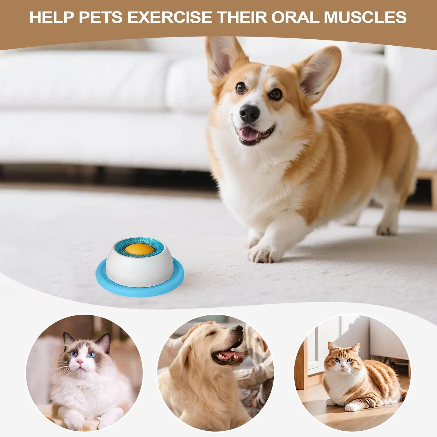 ZILO Interactive Dog Puzzle Feeder Bowl – Slow Treat Dispenser for Smart & Healthy Pets